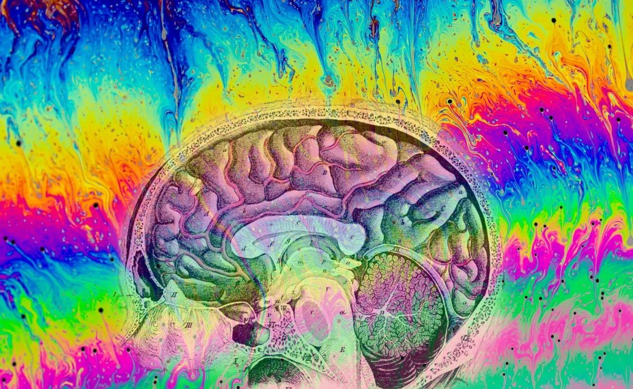 Understanding the Mechanisms: How DMT Targets Multiple Sclerosis Pathology